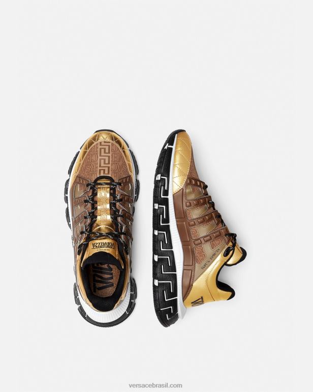 sapato P2TX1512 Versace tênis trigreca marrom e dourado homens