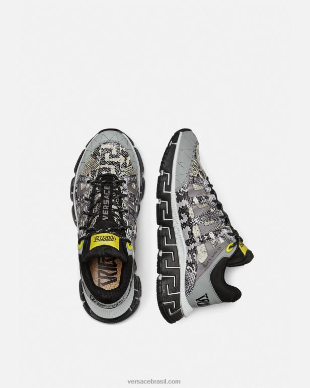 sapato P2TX1543 Versace tênis trigreca com estampa python preto e estampado homens