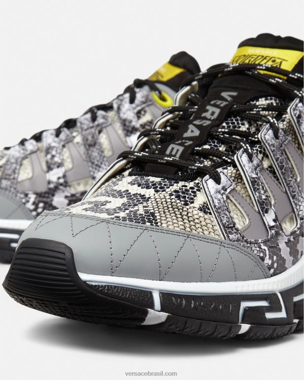 sapato P2TX1543 Versace tênis trigreca com estampa python preto e estampado homens
